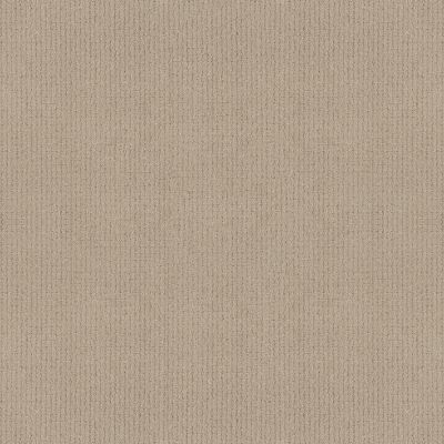 Anderson Tuftex PET PERFECT PLUS Lyric Blonde 00122_ZZ257