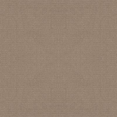 Anderson Tuftex PET PERFECT PLUS Lyric Camelback 00673_ZZ257