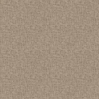 Anderson Tuftex PET PERFECT PLUS Caboodle Blonde 00122_ZZ259