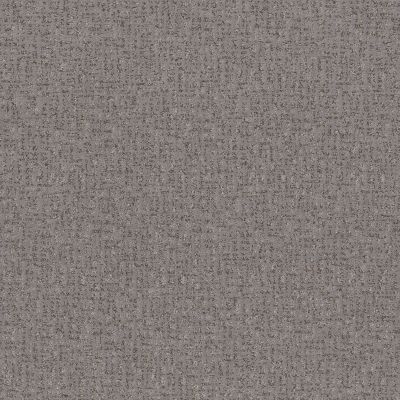 Anderson Tuftex PET PERFECT PLUS Caboodle Sensible 00553_ZZ259