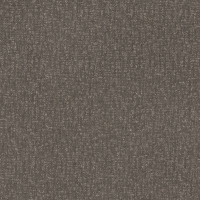 Anderson Tuftex PET PERFECT PLUS Caboodle Shade 00578_ZZ259