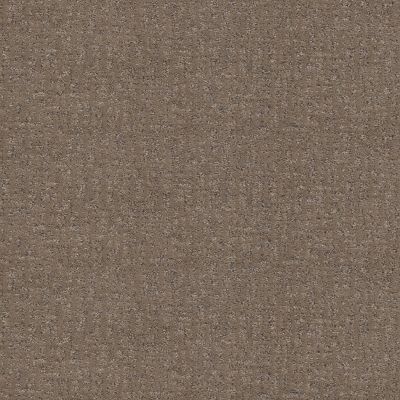 Anderson Tuftex PET PERFECT PLUS Caboodle Sable 00775_ZZ259