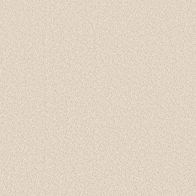 Anderson Tuftex CARPETS PLUS STYLE STATEMENTS CARDINAL RULE Angora 00112_302CP