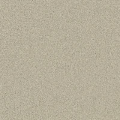 Anderson Tuftex CARPETS PLUS STYLE STATEMENTS CARDINAL RULE Aloe Wash 00322_302CP