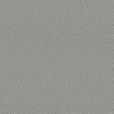 Anderson Tuftex CARPETS PLUS STYLE STATEMENTS CARDINAL RULE Angel Falls 00423_302CP