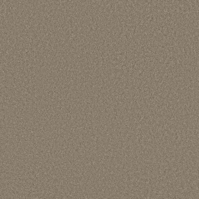 Anderson Tuftex CARPETS PLUS STYLE STATEMENTS CARDINAL RULE Atmosphere 00573_302CP