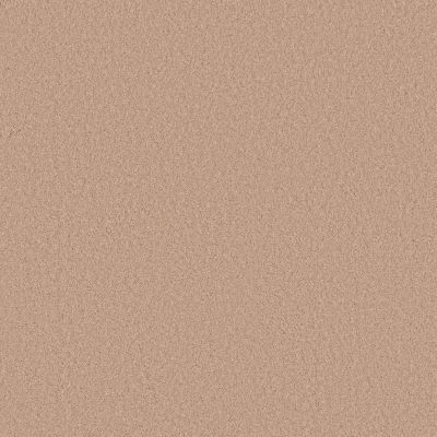 Anderson Tuftex CARPETS PLUS STYLE STATEMENTS CARDINAL RULE Apricot Ice 00623_302CP