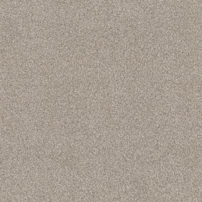 Anderson Tuftex Bossa Nova Textured Cut Pile Misty Dawn ZZ275-00151