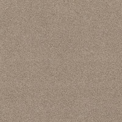 Anderson Tuftex Bossa Nova Textured Cut Pile Cascade ZZ275-00724