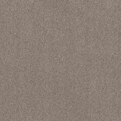 Anderson Tuftex Bossa Nova Textured Cut Pile Pashmina ZZ275-00754