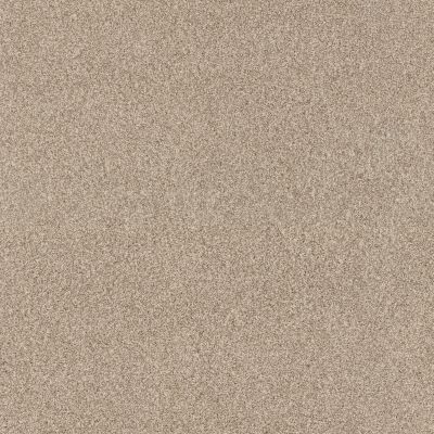 Anderson Tuftex Costco Wholesale Branded Program TANGO Beach Grass 00223_1CW40
