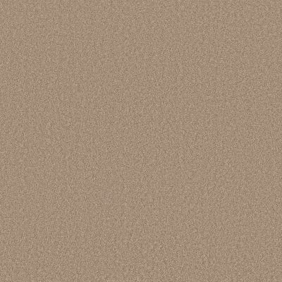 Anderson Tuftex Cypress Falls Textured Cut Pile Buff jpc-00163_ZZ277