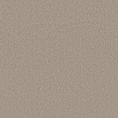 Anderson Tuftex Cypress Falls Textured Cut Pile Alpaca jpc-00522_ZZ277