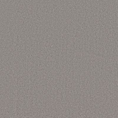 Anderson Tuftex Cypress Falls Textured Cut Pile Cityscape jpc-00543_ZZ277