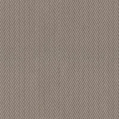 Anderson Tuftex Always Natural Fossil 00753_ZZ289