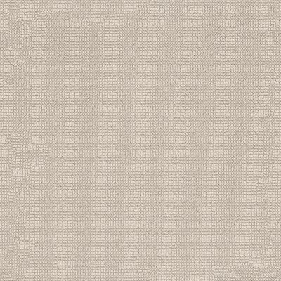 Anderson Tuftex Alluring Birchbark 00121_ZZ316