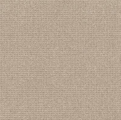Anderson Tuftex Purrfection Pattern Loop Champagne IS-00114_ZZ097
