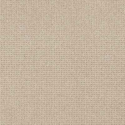 Anderson Tuftex Purrfection Pattern Loop Matchstick IS-00121_ZZ097