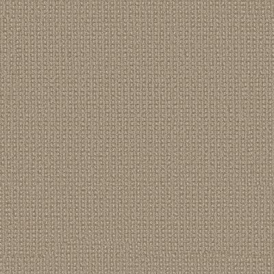 Anderson Tuftex Fetch Pattern Loop Sesame jpc-00213_ZZ074
