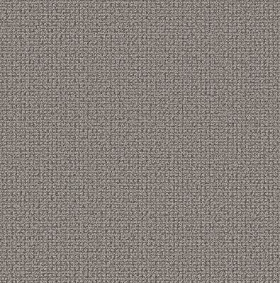 Anderson Tuftex Fetch Pattern Loop Monument jpc-00556_ZZ074