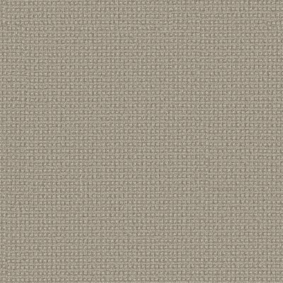 Anderson Tuftex Fetch Pattern Loop Briarwood jpc-00712_ZZ074