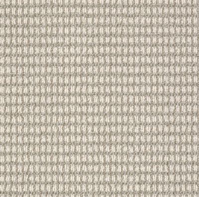 Anderson Tuftex ABBEY'S ROAD Moonlit Silver 00572_ZZ013