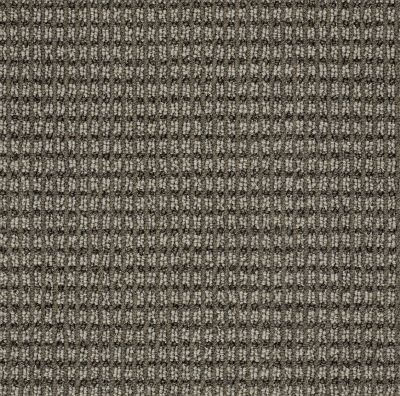 Anderson Tuftex ABBEY'S ROAD Stylish Gray 00573_ZZ013
