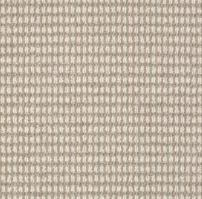 Anderson Tuftex ABBEY'S ROAD Chic Taupe 00752_ZZ013