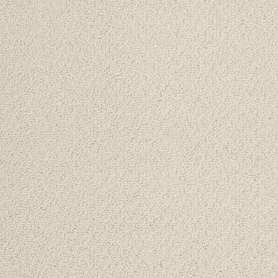 Anderson Tuftex Pet Perfect On Point Euro Linen 00121_ZZ012