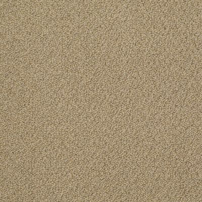 Anderson Tuftex Pet Perfect On Point Gilt 00223_ZZ012