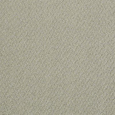 Anderson Tuftex Pet Perfect On Point Dusty Jade 00312_ZZ012