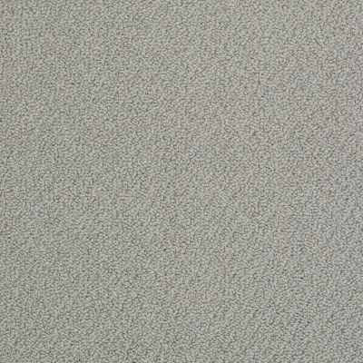 Anderson Tuftex Pet Perfect On Point Driftwood 00513_ZZ012