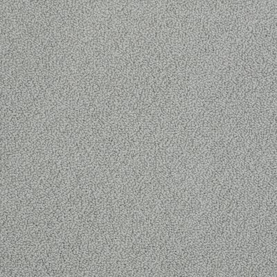 Anderson Tuftex Pet Perfect On Point Hazy Gray 00552_ZZ012