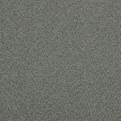 Anderson Tuftex Pet Perfect On Point Hidden Cove 00555_ZZ012