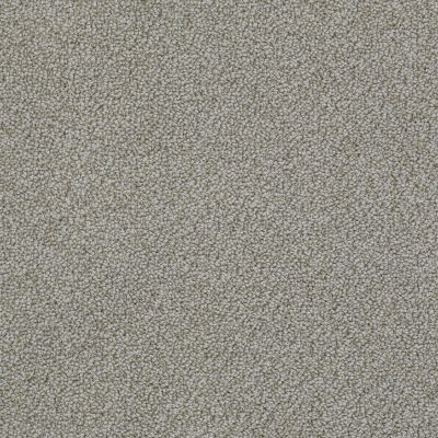 Anderson Tuftex Pet Perfect On Point Graystone 00574_ZZ012