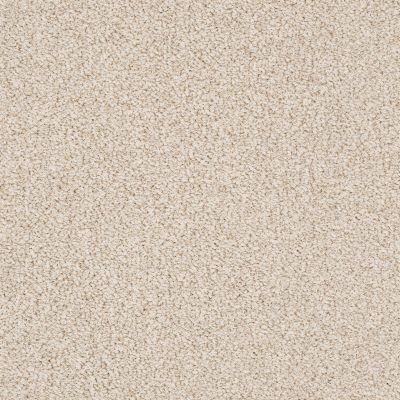 Anderson Tuftex SFA Waterfront Birch 00162_37SSF