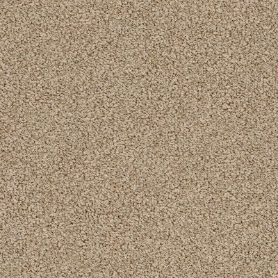 Anderson Tuftex SFA Waterfront Handwoven 00273_37SSF