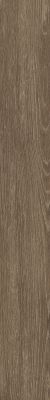 Shaw Floors Resilient Residential All American Anthem 00774_0799V