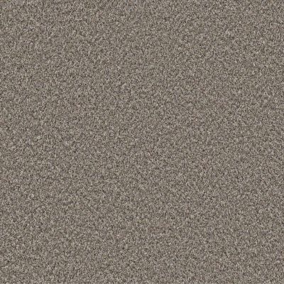 Shaw Pet Perfect Remixed Classic TEXTURE Cobble Drive BRIS-00121_5E679