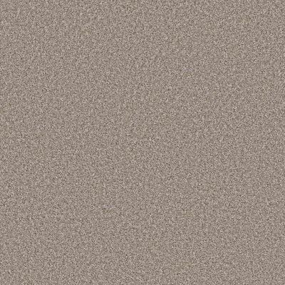 Shaw Pet Perfect Remixed Classic TEXTURE Pebble BRIS-00115_5E679