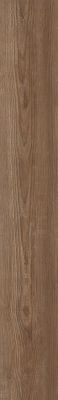 COREtec Elite Performance SPC Ramsey Andromeda Pine 02064_CV187