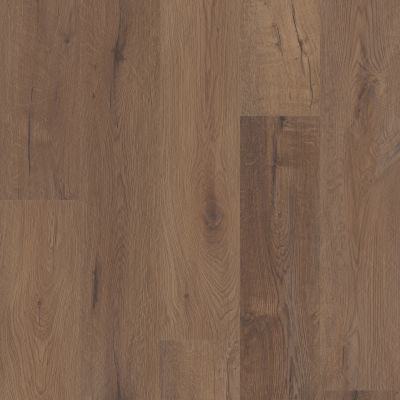 COREtec Abbey Integrated Bevel Lakewood Hills Cerith Oak 04027_AF813