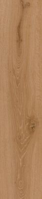 COREtec Resilient Residential Retro Revival Autumn Oak 02116_CR504