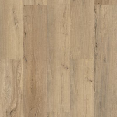 Shaw Floors Resilient Residential Paladin Plus Driftwood 01056_0278V