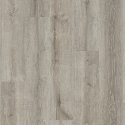 Shaw Floors Resilient Residential Anvil Plus Beach Oak 01023_2032V