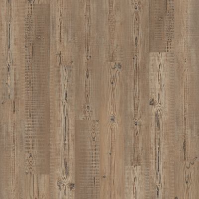Shaw Floors Resilient Residential Anvil Plus Accent Pine 07063_2032V