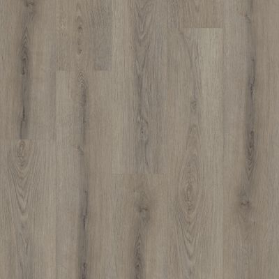 Shaw Floors Resilient Residential Paladin Plus Ashen Brown 05219_0278V