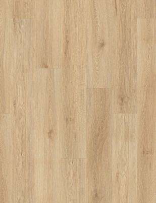 Resilient Residential COREtec Pro Plus 7