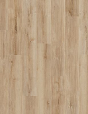 COREtec Pro Plus Enhanced Lucent Oak W2WIS_VV492_2028