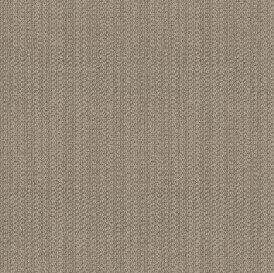 Anderson Tuftex Classics Cathedral Hill II PATTERNED LOOP Timeless tfsnm-00170_ZZ040
